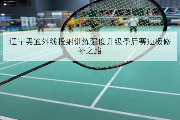 辽宁男篮外线投射训练强度升级季后赛短板修补之路